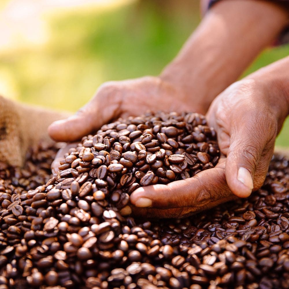 Sierra Madre - Mexico Coffee Pods